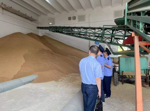 違規收購糧食被罰10萬元，南京公布一批典型案例加強糧食市場管理